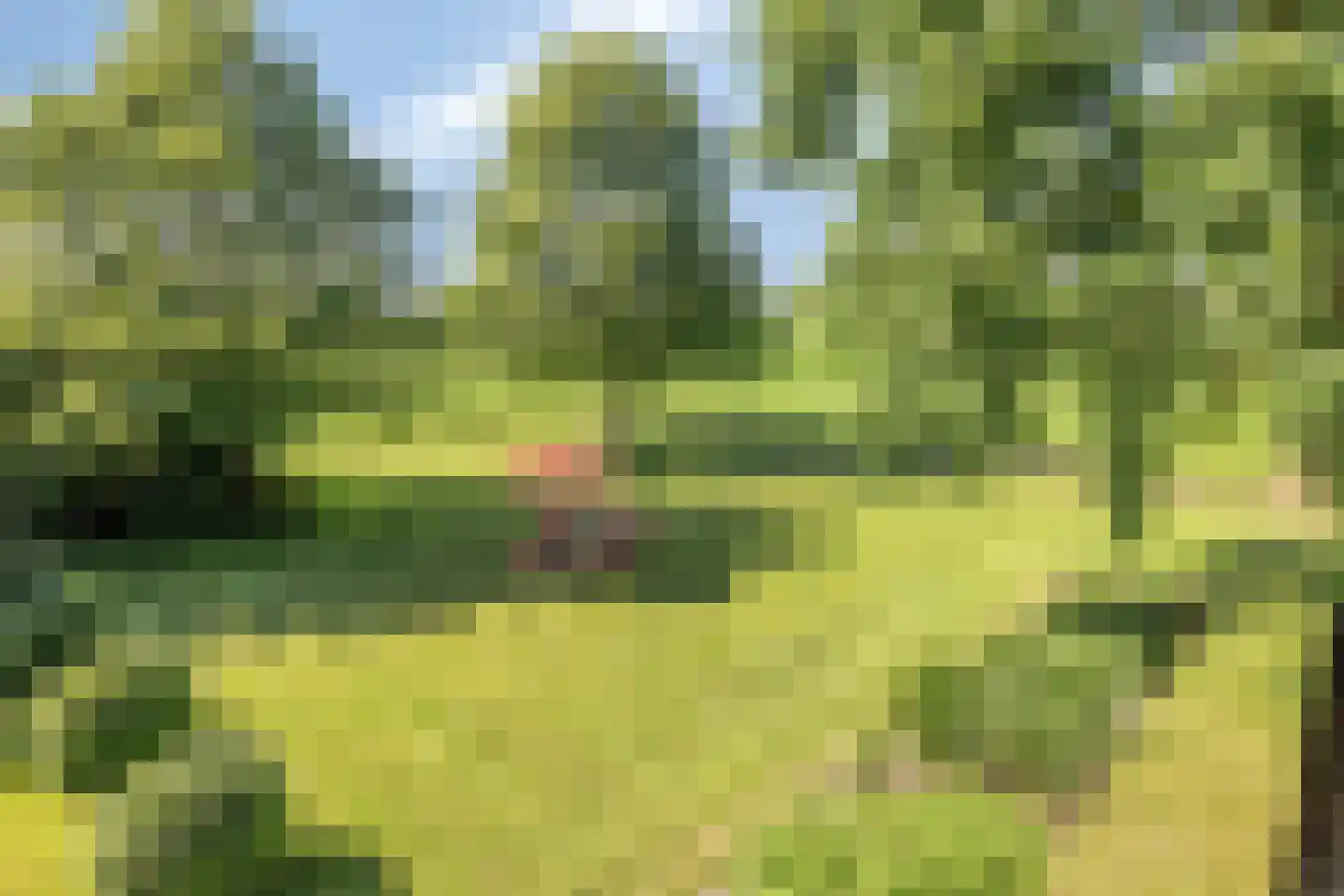 Herptseweg 2 Herpt thumbnail 84