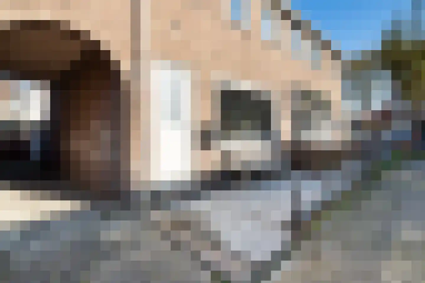 Herradesstraat 17 Dordrecht thumbnail 6