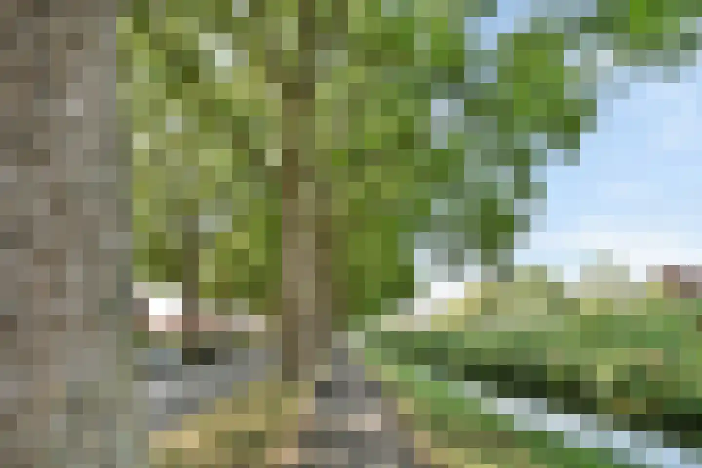 Herradesstraat 23 Dordrecht thumbnail 25