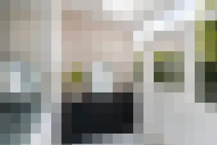 Herradesstraat 39 Dordrecht thumbnail 15