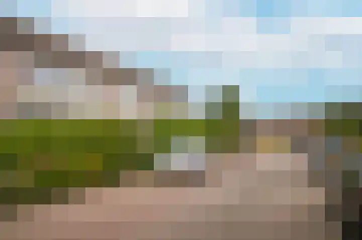 Herrebeugel 38 Wijk en Aalburg thumbnail 36
