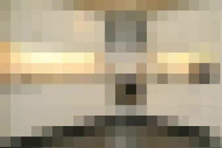 Herrebeugel 38 Wijk en Aalburg thumbnail 8