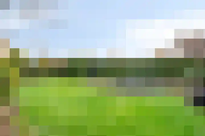 Herreveld 1 Einighausen thumbnail 30
