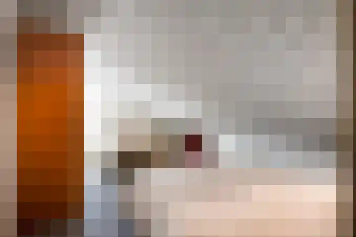 Herreveld 1 Einighausen thumbnail 41
