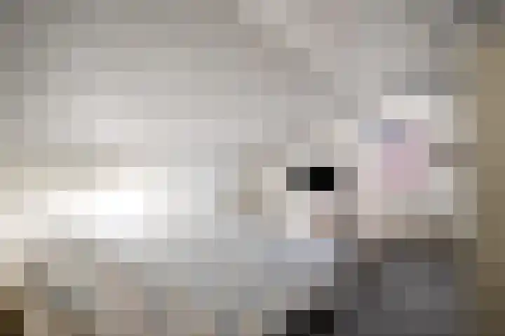 Herreveld 1 Einighausen thumbnail 43