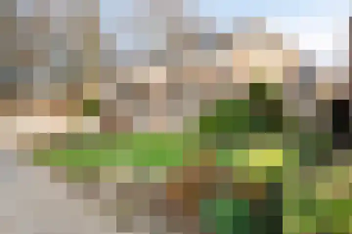 Herreveld 1 Einighausen thumbnail 9