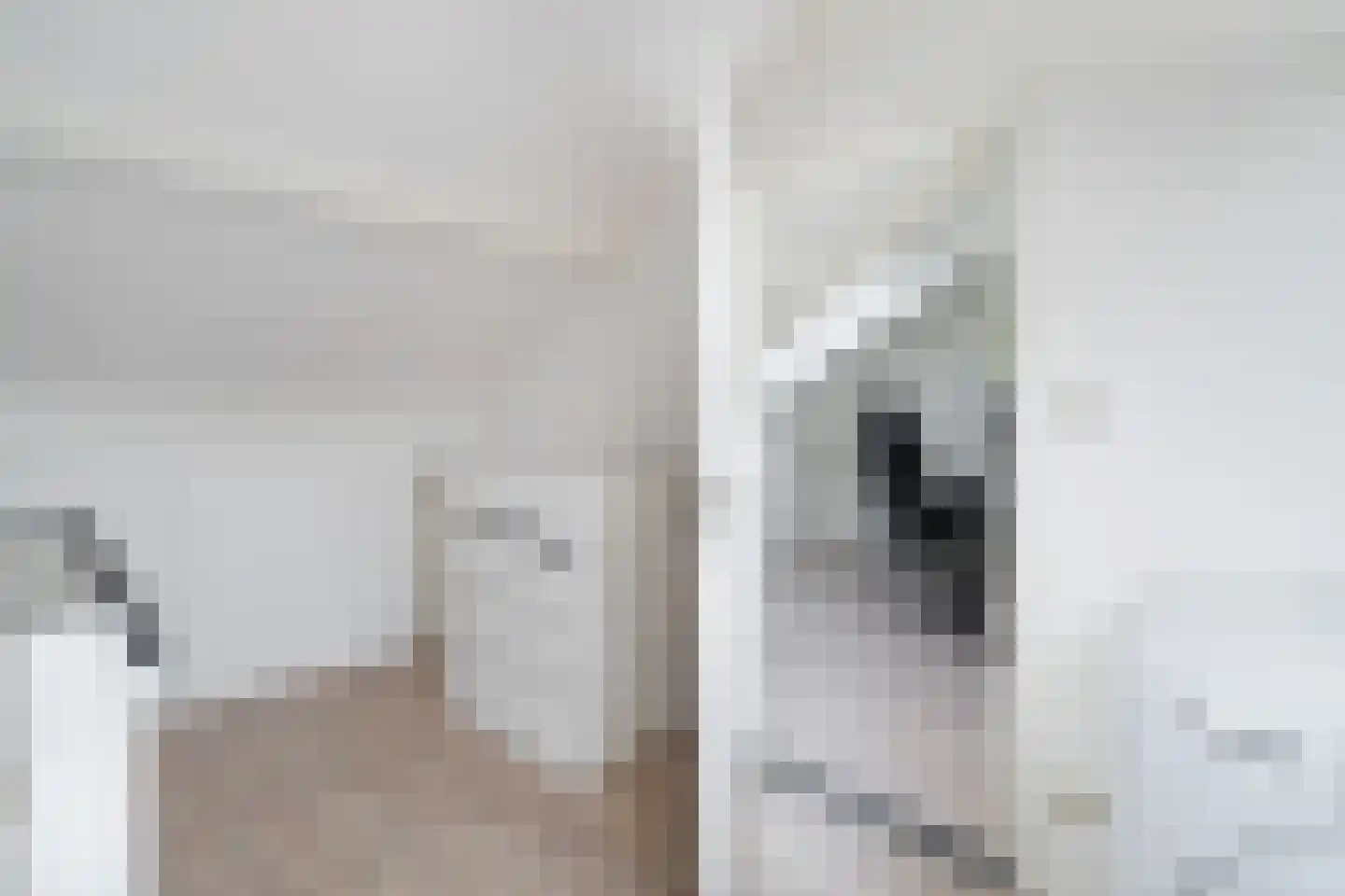 Herschelstraat 24 Dordrecht thumbnail 37
