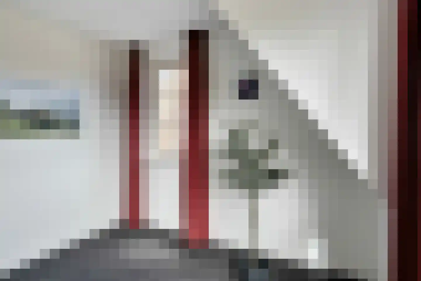 Herschelstraat 3 Diepenheim thumbnail 32