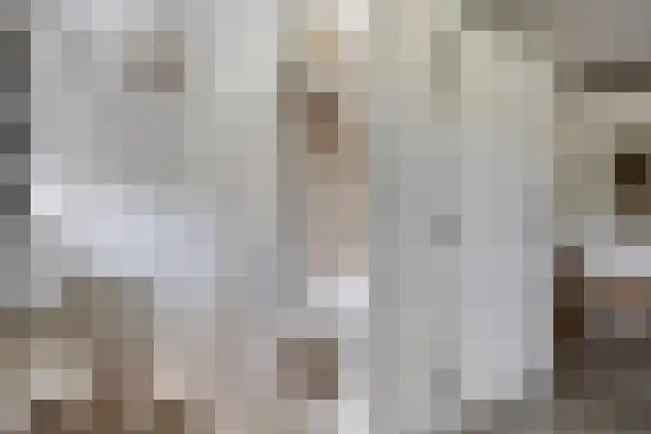 Hersel 3 Lierop thumbnail 11