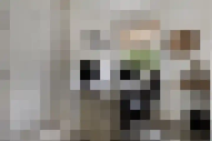 Hersel 3 Lierop thumbnail 13