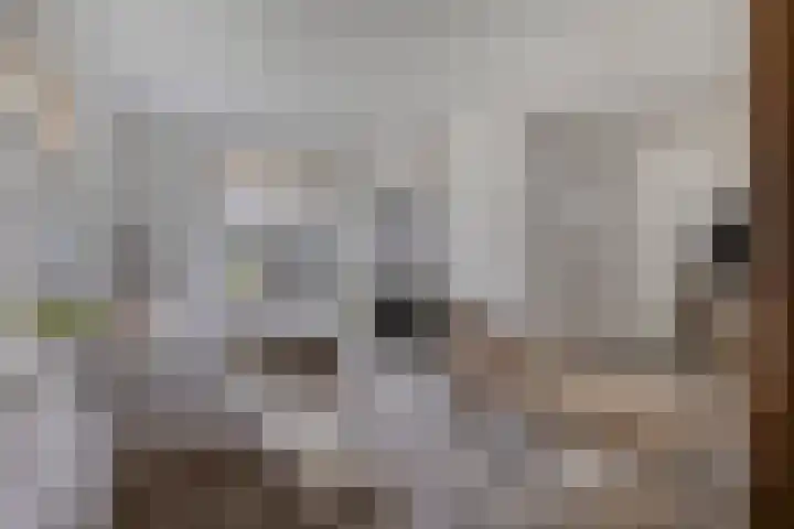Hersel 3 Lierop thumbnail 15