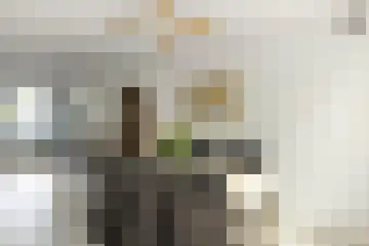 Hersel 3 Lierop thumbnail 18