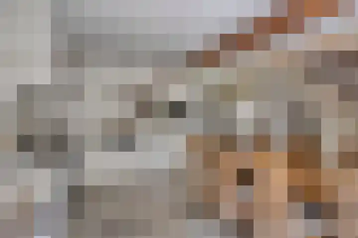 Hersel 3 Lierop thumbnail 21