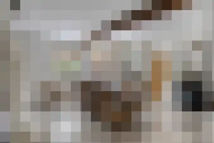 Hersel 3 Lierop thumbnail 24