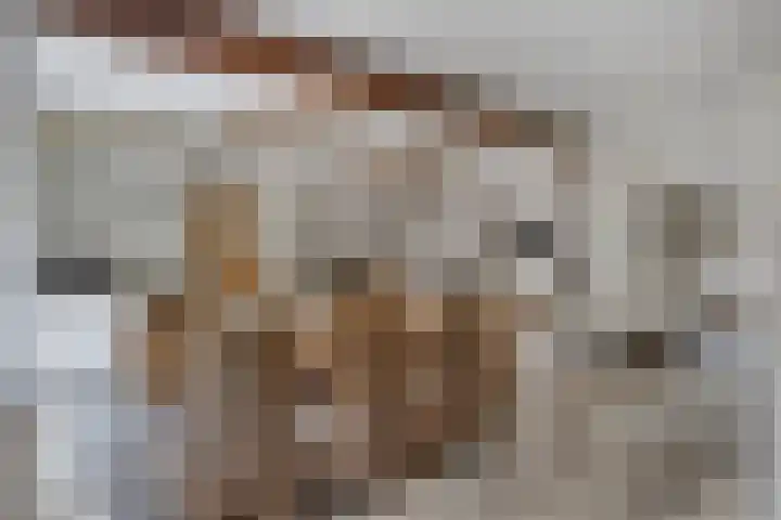 Hersel 3 Lierop thumbnail 25