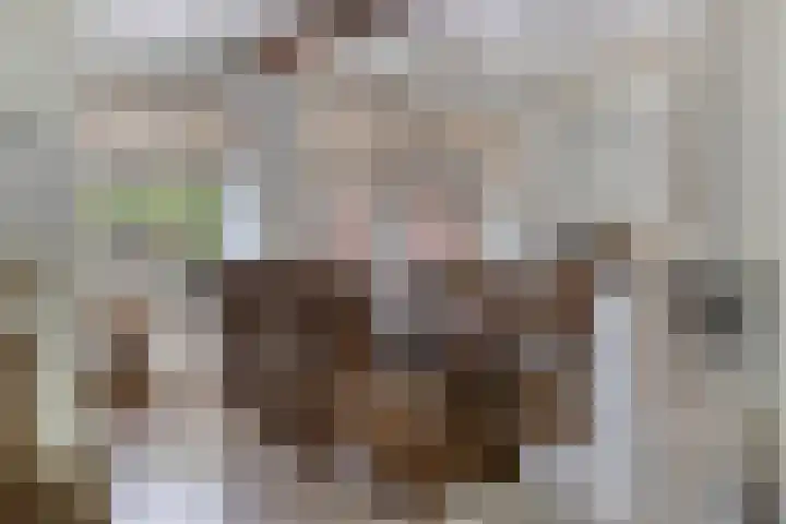 Hersel 3 Lierop thumbnail 27
