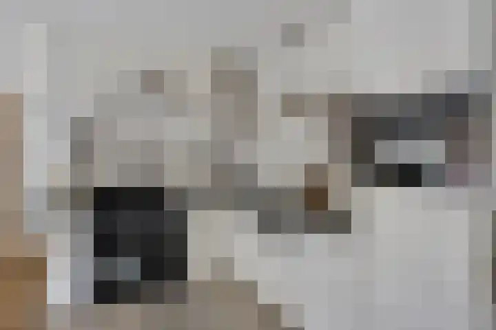 Hersel 3 Lierop thumbnail 4