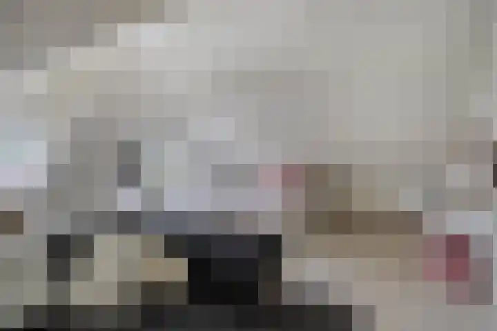 Hersel 3 Lierop thumbnail 40