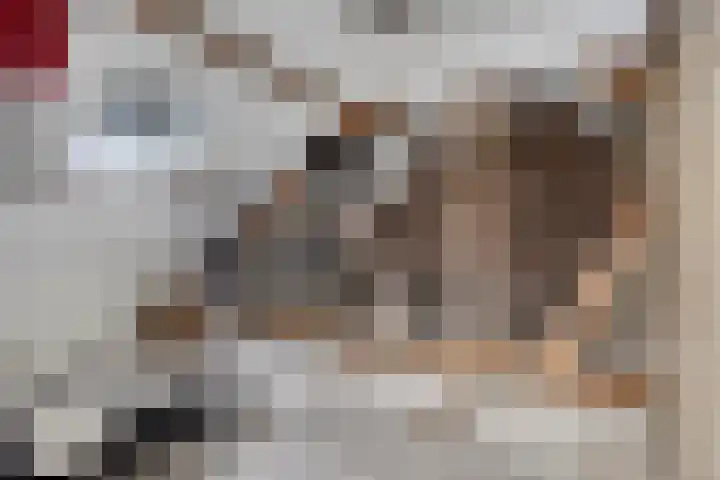 Hersel 3 Lierop thumbnail 44