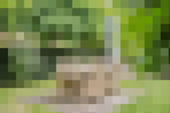 Hersel 3 Lierop thumbnail 49