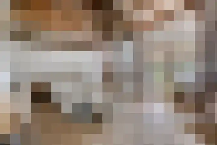 Hersel 3 Lierop thumbnail 5
