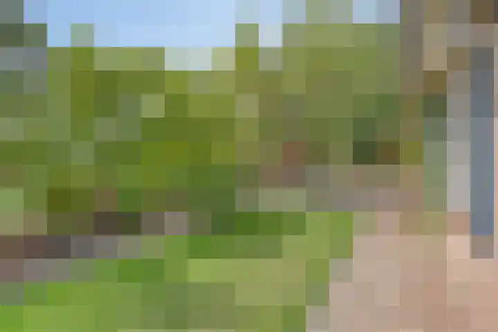 Hersel 3 Lierop thumbnail 50