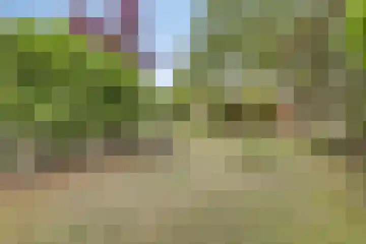Hersel 3 Lierop thumbnail 51