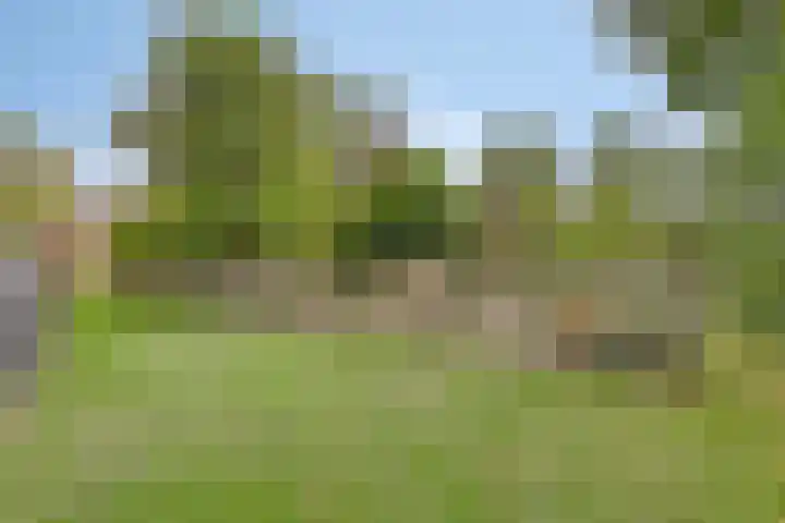 Hersel 3 Lierop thumbnail 53