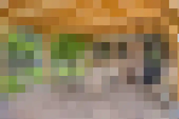 Hersel 3 Lierop thumbnail 57