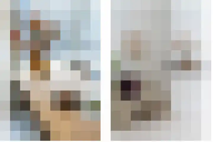 Hersel 3 Lierop thumbnail 59