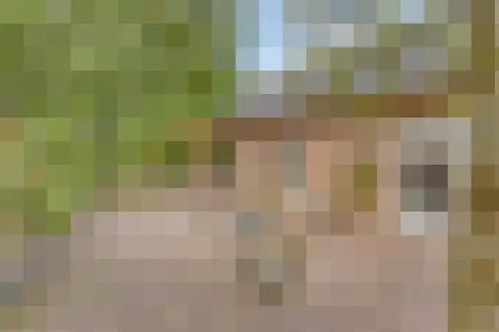Hersel 3 Lierop thumbnail 6