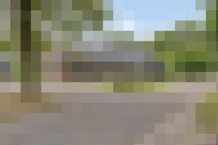 Hersel 3 Lierop thumbnail 7