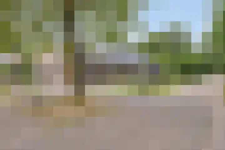 Hersel 3 Lierop thumbnail 9