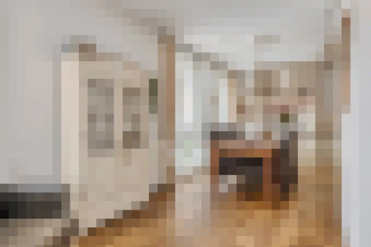 Herselsestraat 25 Helmond thumbnail 11