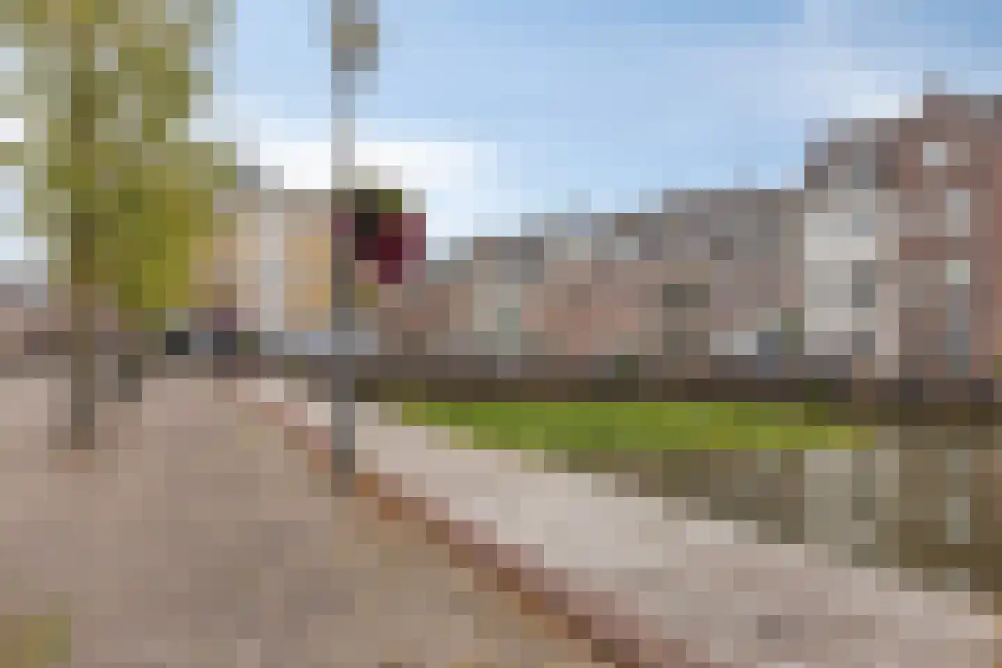 Herselsestraat 25 Helmond thumbnail 48