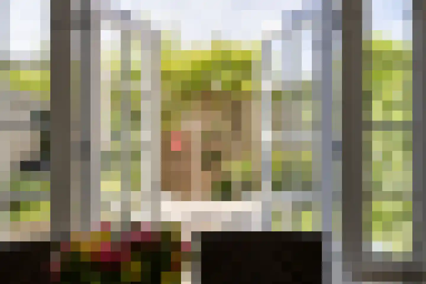 Herselsestraat 31 Helmond thumbnail 24