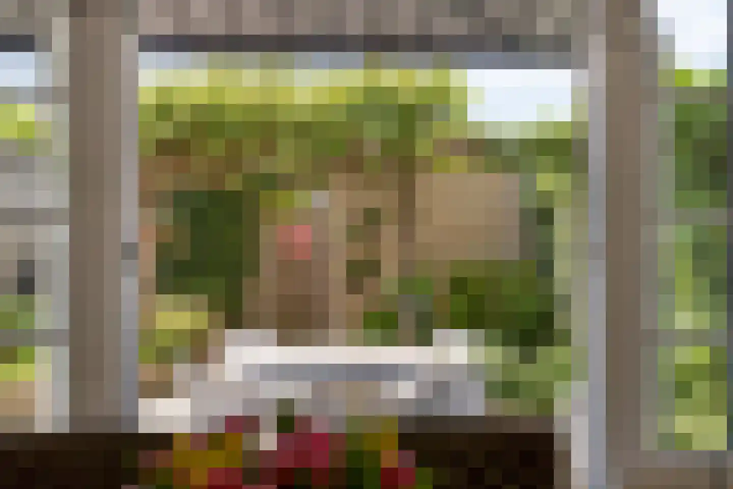 Herselsestraat 31 Helmond thumbnail 32