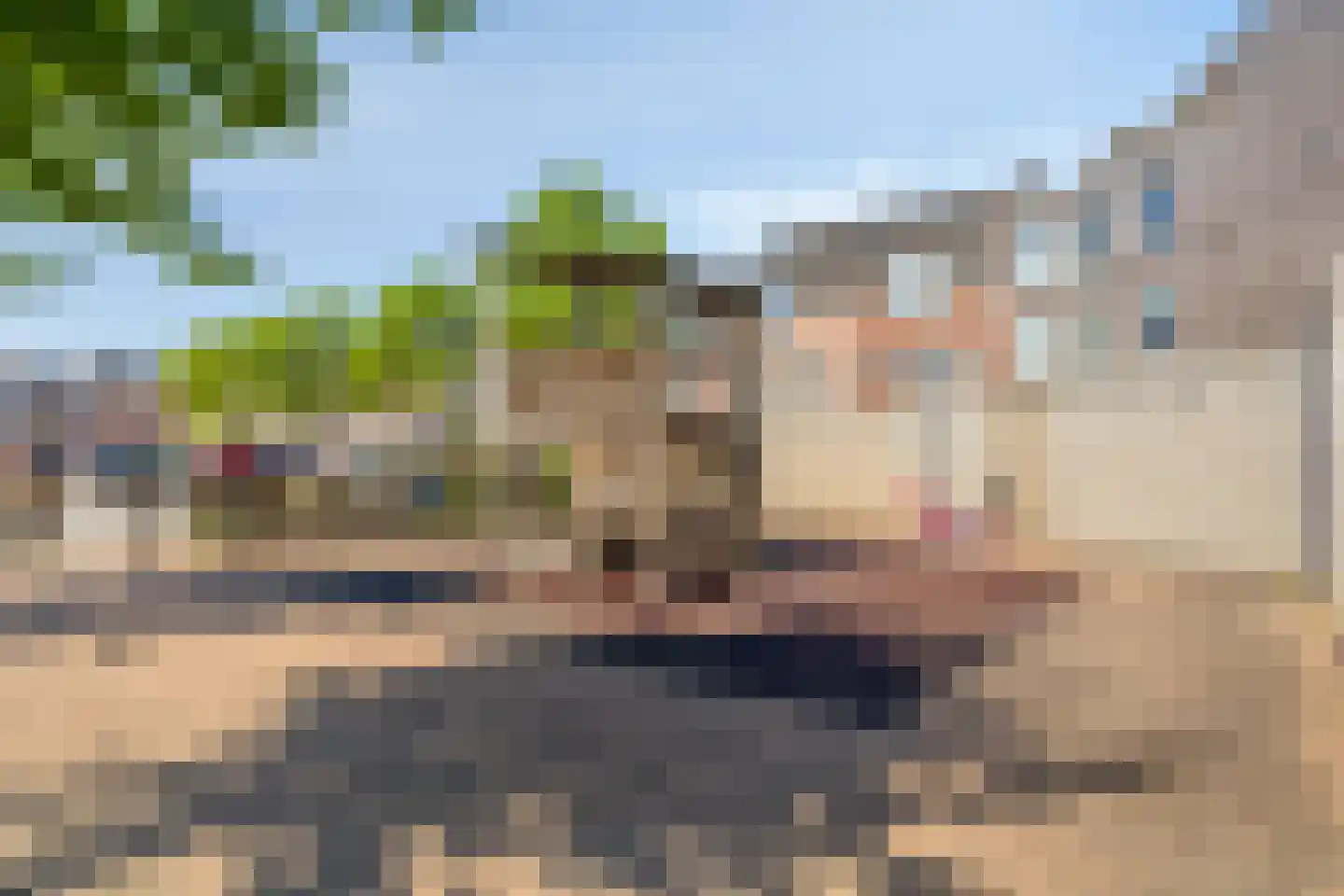 Herselsestraat 31 Helmond thumbnail 33