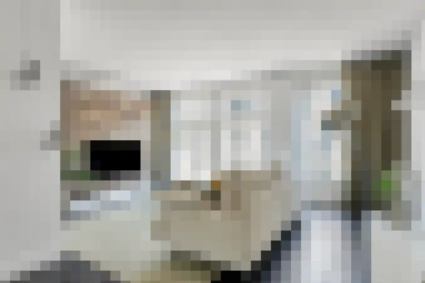 Herselsestraat 31 Helmond thumbnail 40