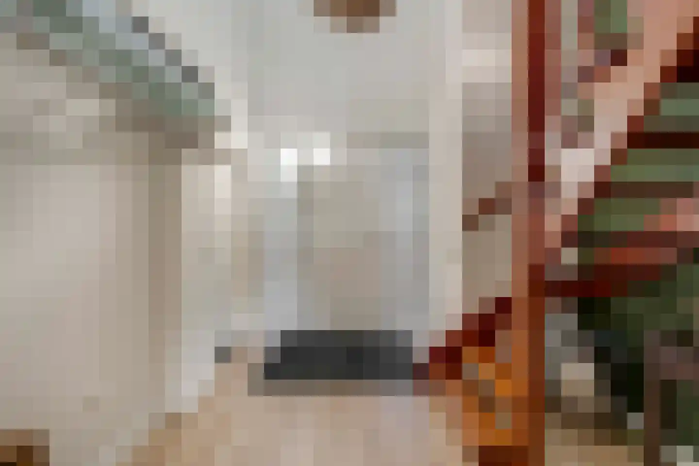 Herselseweg 40 Lierop thumbnail 11
