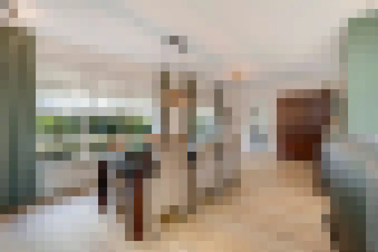 Herselseweg 40 Lierop thumbnail 17