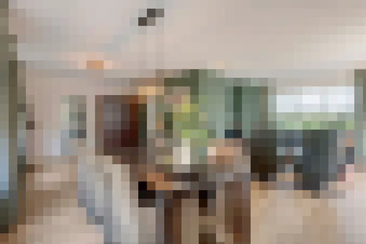 Herselseweg 40 Lierop thumbnail 18