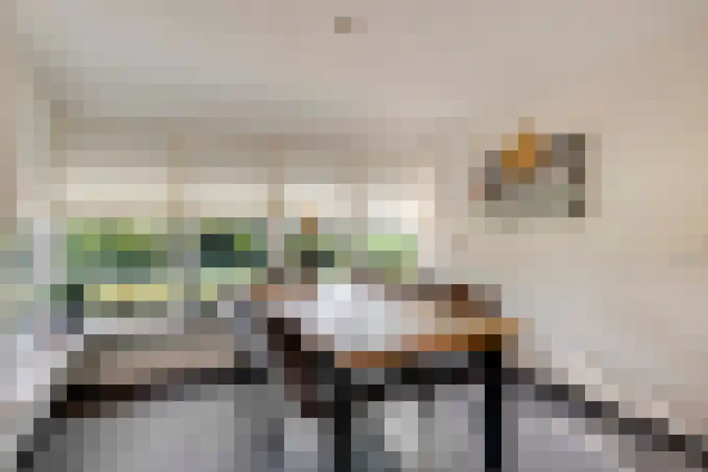 Herselseweg 40 Lierop thumbnail 23