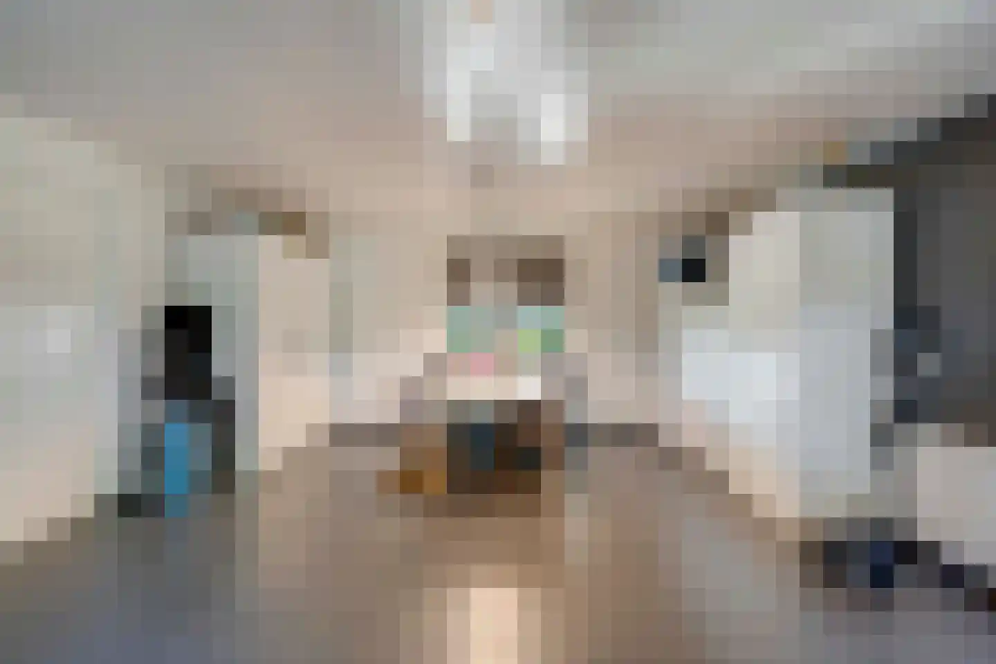 Herselseweg 40 Lierop thumbnail 30