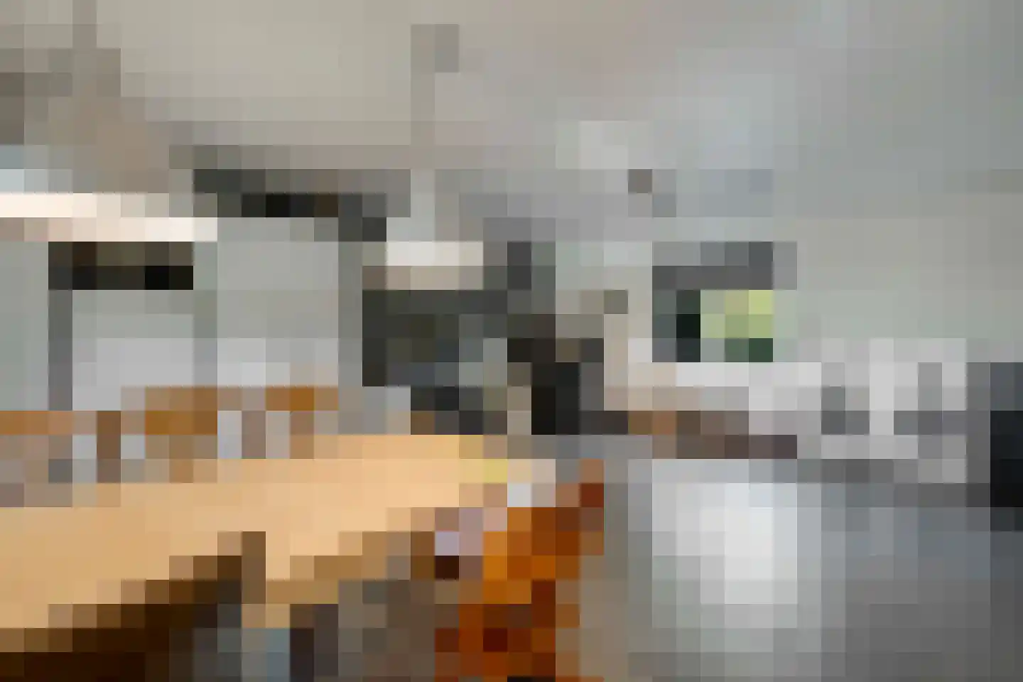 Herselseweg 40 Lierop thumbnail 31
