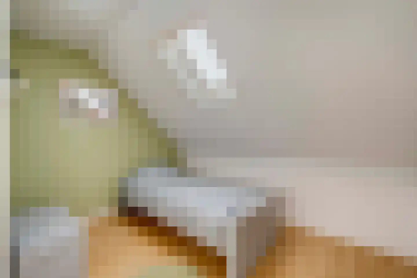 Herselseweg 40 Lierop thumbnail 37