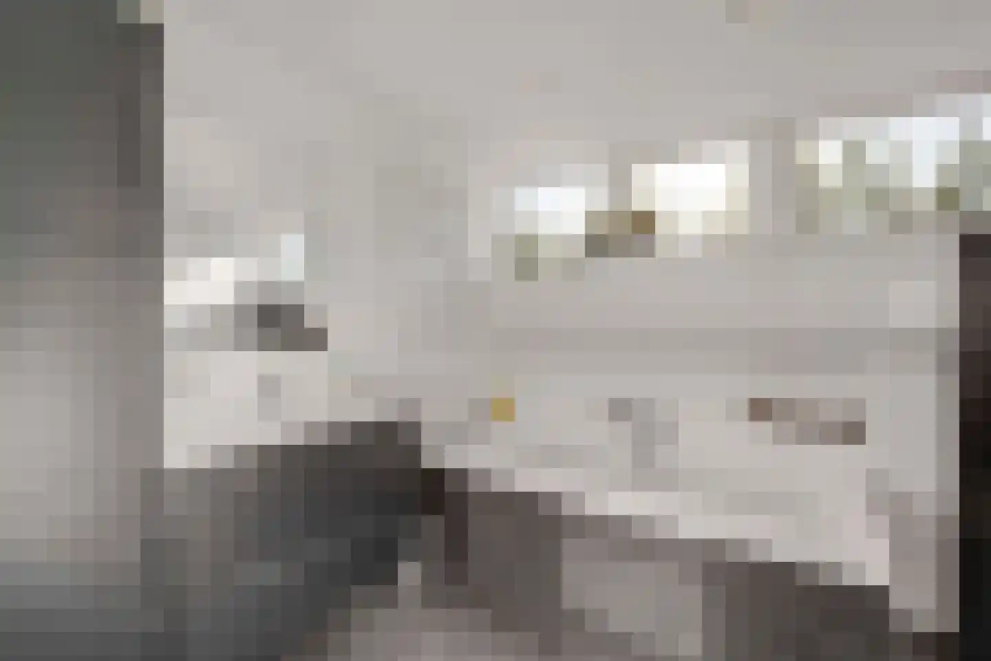 Herselseweg 40 Lierop thumbnail 41