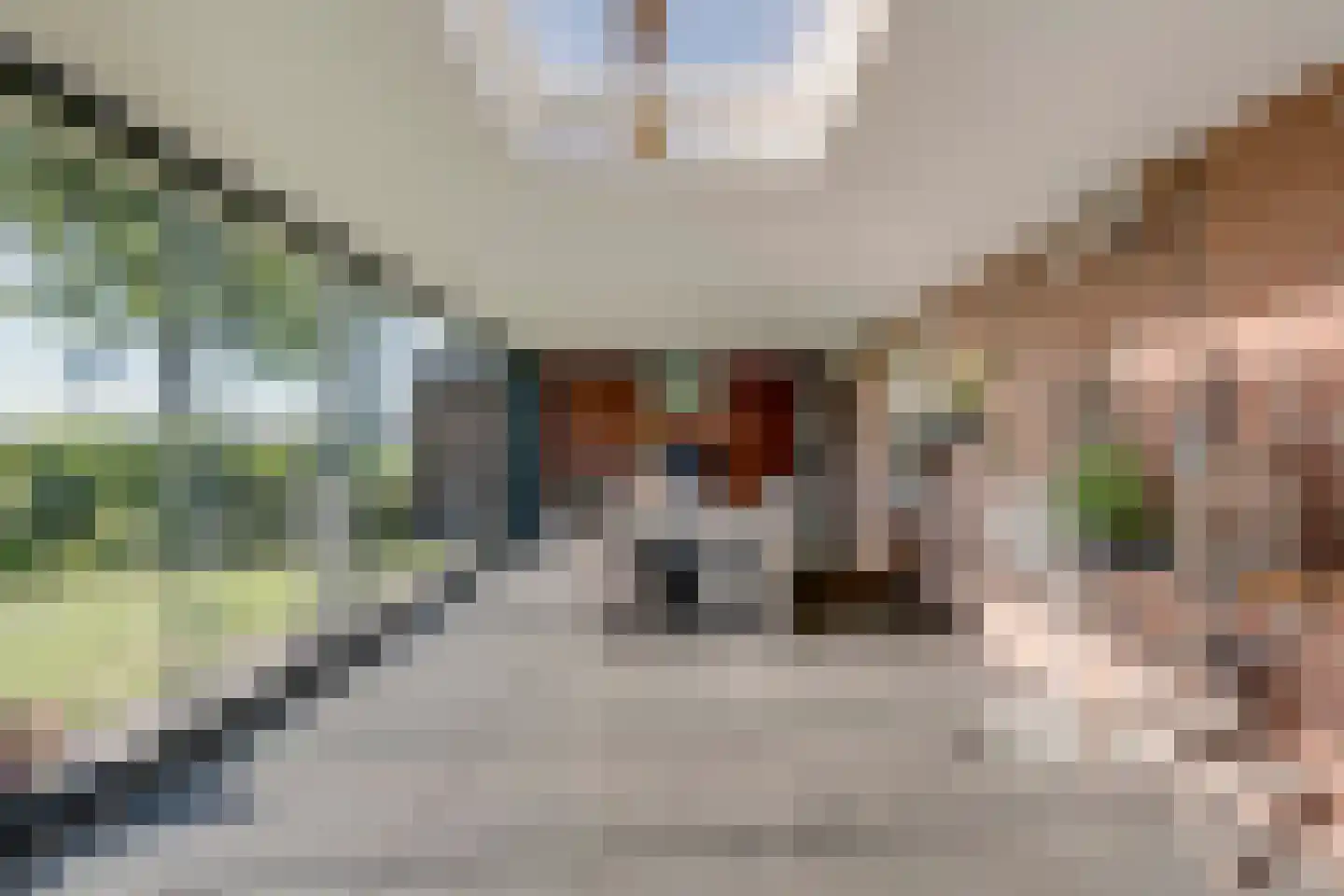 Herselseweg 40 Lierop thumbnail 48