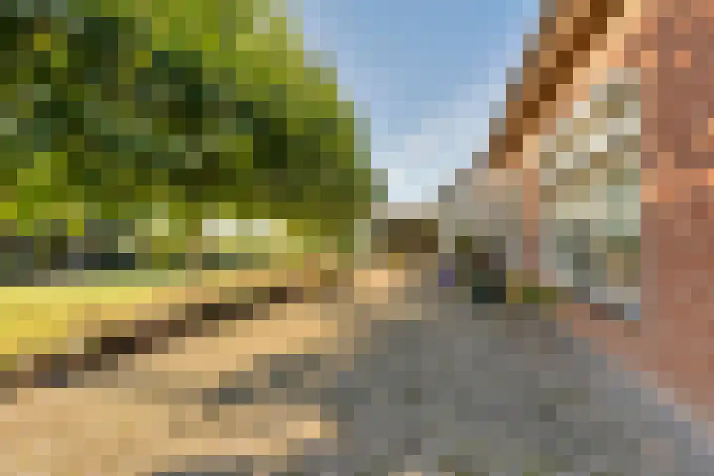 Herselseweg 40 Lierop thumbnail 52