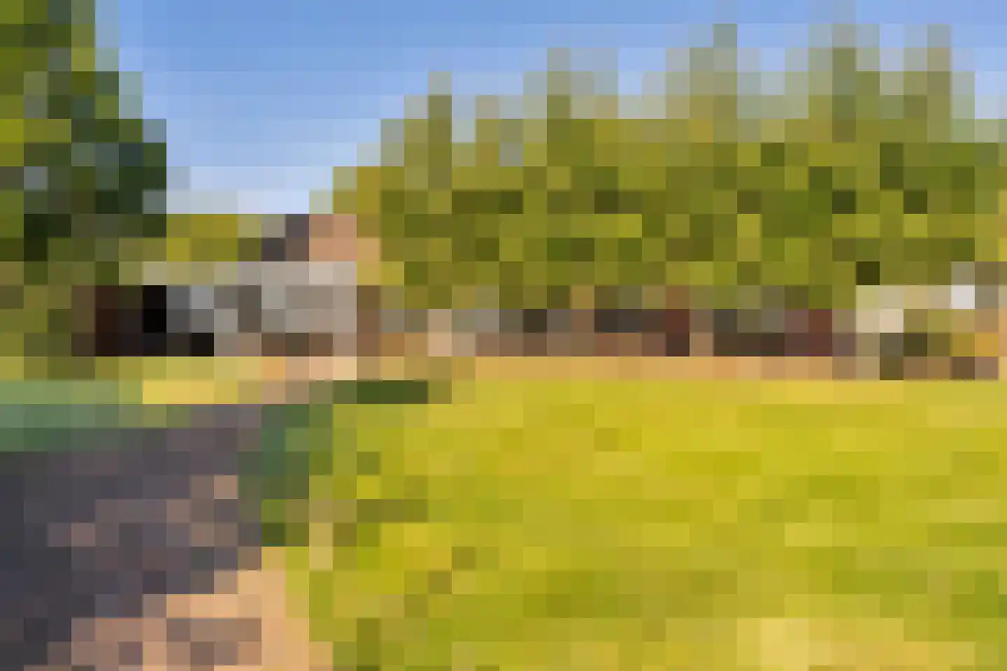 Herselseweg 40 Lierop thumbnail 54